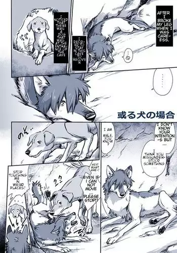 A certain dog's situation