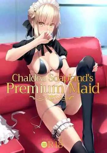 Chaldea Soap SSS-kyuu Gohoushi Maid