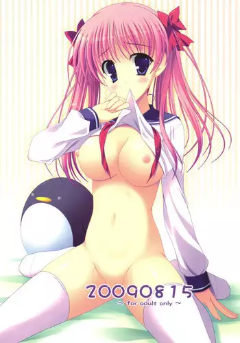 (C76) [THE FLYERS (Naruse Mamoru)] 20090815 (Saki)