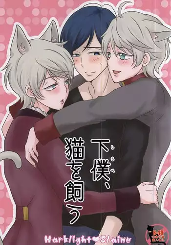 (SPARK10) [Aoi-Ro-Ramune (Fuyusaki Lamune)] Geboku, Neko o Kau (ALDNOAH.ZERO)