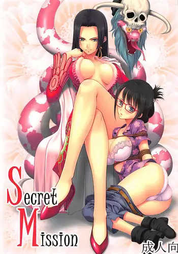 (C92) [Mikenekodou (Muten)] Secret Mission (One Piece)