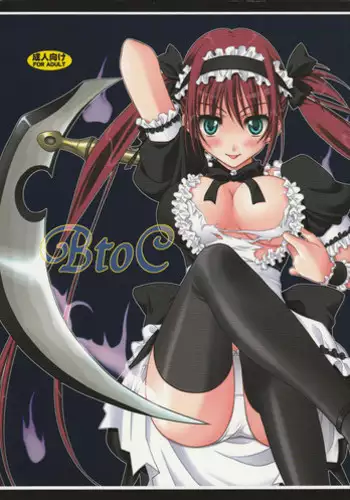 (C76) [VENOM (Mori Marimo, ZIN)] BtoC (Queen's Blade)