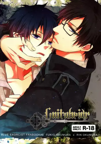 (C81) [FIZZCODE (Satonishi)] Gnitaheidr (Ao no Exorcist)