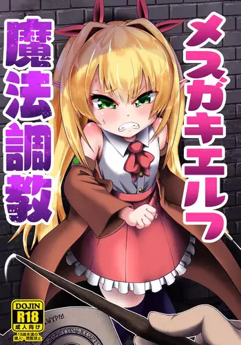 Mesugaki Elf Mahou Choukyou