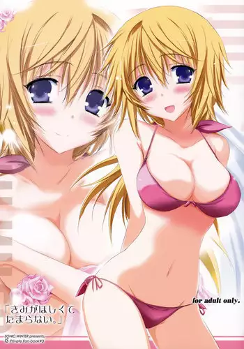 (SC57) [SONIC WINTER (Tsukishima Kai)] Kimi ga Hoshikute Tamaranai. | Can't Stop Loving You (IS <Infinite Stratos>) [English] (Rapid Switch)