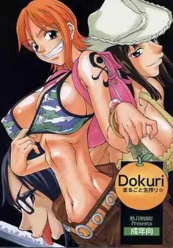 (C63) [Majimadou (Matou)] Dokuri Marugoto Namashibori (One Piece) [English] [hardcase8translates]