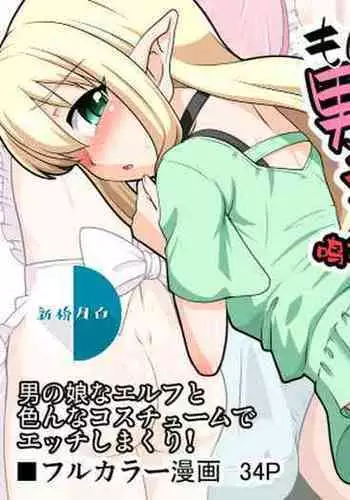 Moshimo Otokonoko Elf ga Wagaya ni Kitara