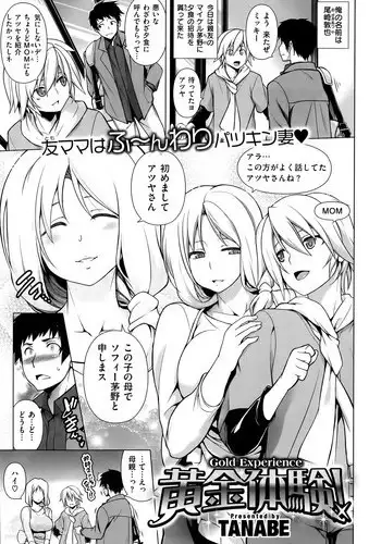 [TANABE] Ougon Taiken - Gold Experience