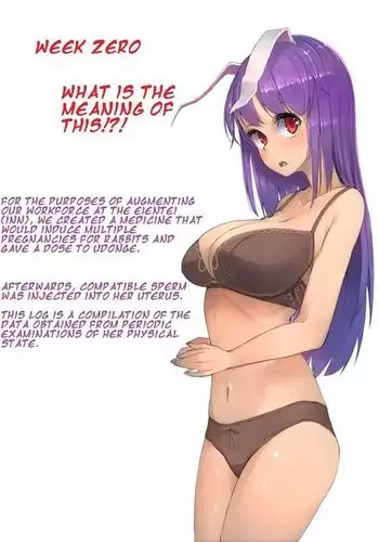 Udon-ge Ninshin Jikken | Udonge Pregnancy Experiment