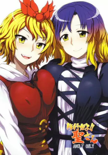 (C83) [110-GROOVE (Itou Yuuji)] Shugyou dayo!! Hijiri-san (Touhou Project) [English] {desudesu}