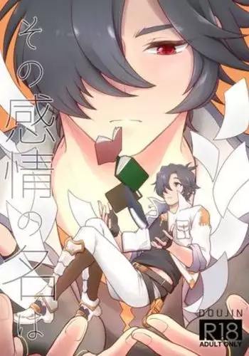 Sono Kanjou no Na wa