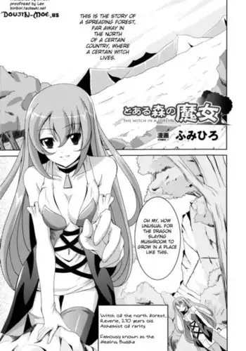 The Witch in a Forest