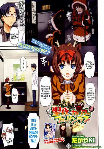 Caribou Fall in Love at X'mas