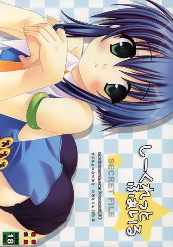 (Shotaket 11) [Sorairo March (Narusawa Sora)] SECRET FILE (Naisho no Yorimichi)