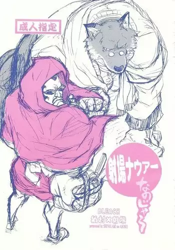 Shajou Nauer no Ja ~ & Koishisa to setsunasa to shajou Nauer to